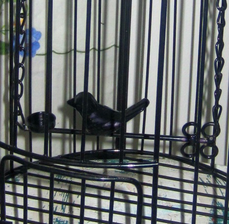 birdcage4